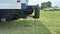 2027 Ford E-Series Cutaway 16' DURA CUBE ALUMINUM VAN BODY, ROLL UP DOOR , THIEMAN 2,000 LBS STOW AWAY TAILGATE