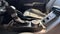 2023 Ford Bronco Black Diamond Advanced