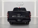 2021 Ford F-150 Tremor