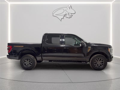 2021 Ford F-150 Tremor
