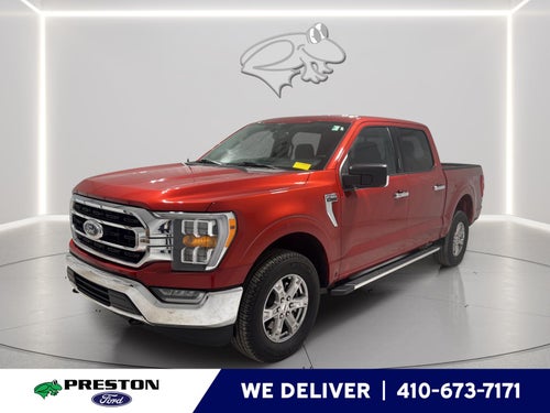 2023 Ford F-150 XLT