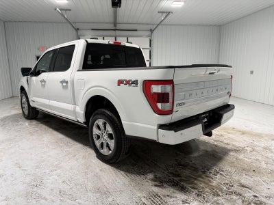 2023 Ford F-150 Platinum