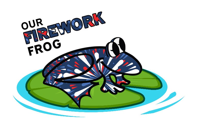 THE FIREWORKS FROG